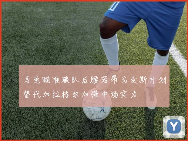 马竞瞄准狼队后腰若昂戈麦斯计划替代加拉格尔加强中场实力