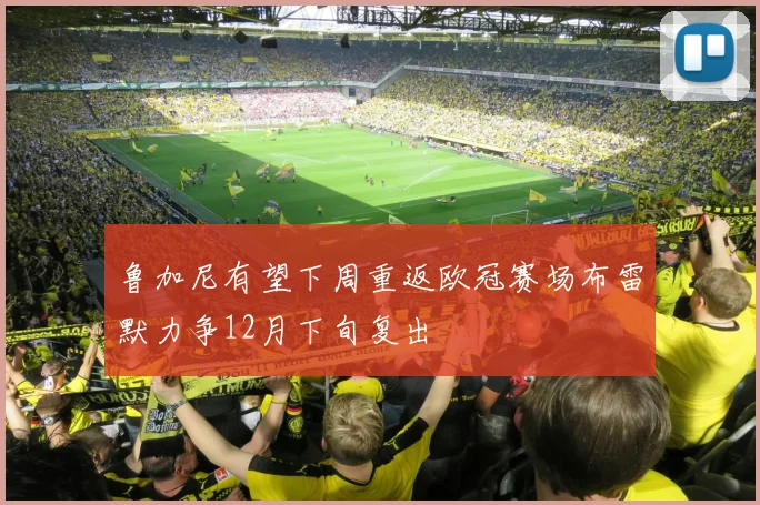 鲁加尼有望下周重返欧冠赛场布雷默力争12月下旬复出