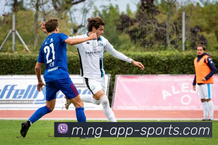 南宫体育平台生态图