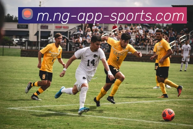 南宫体育全站App